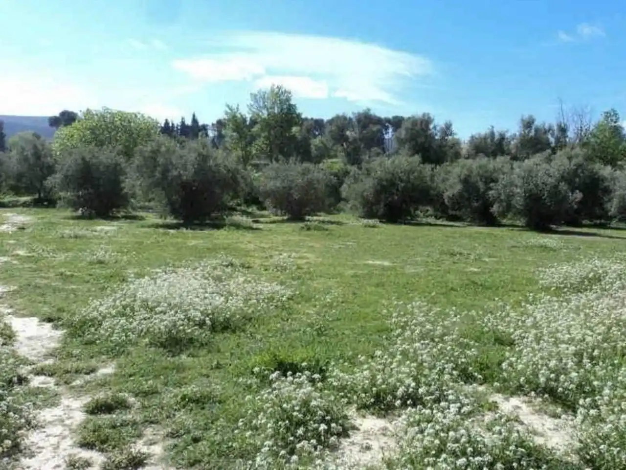 Residential land for sale in Centro, imagen 2