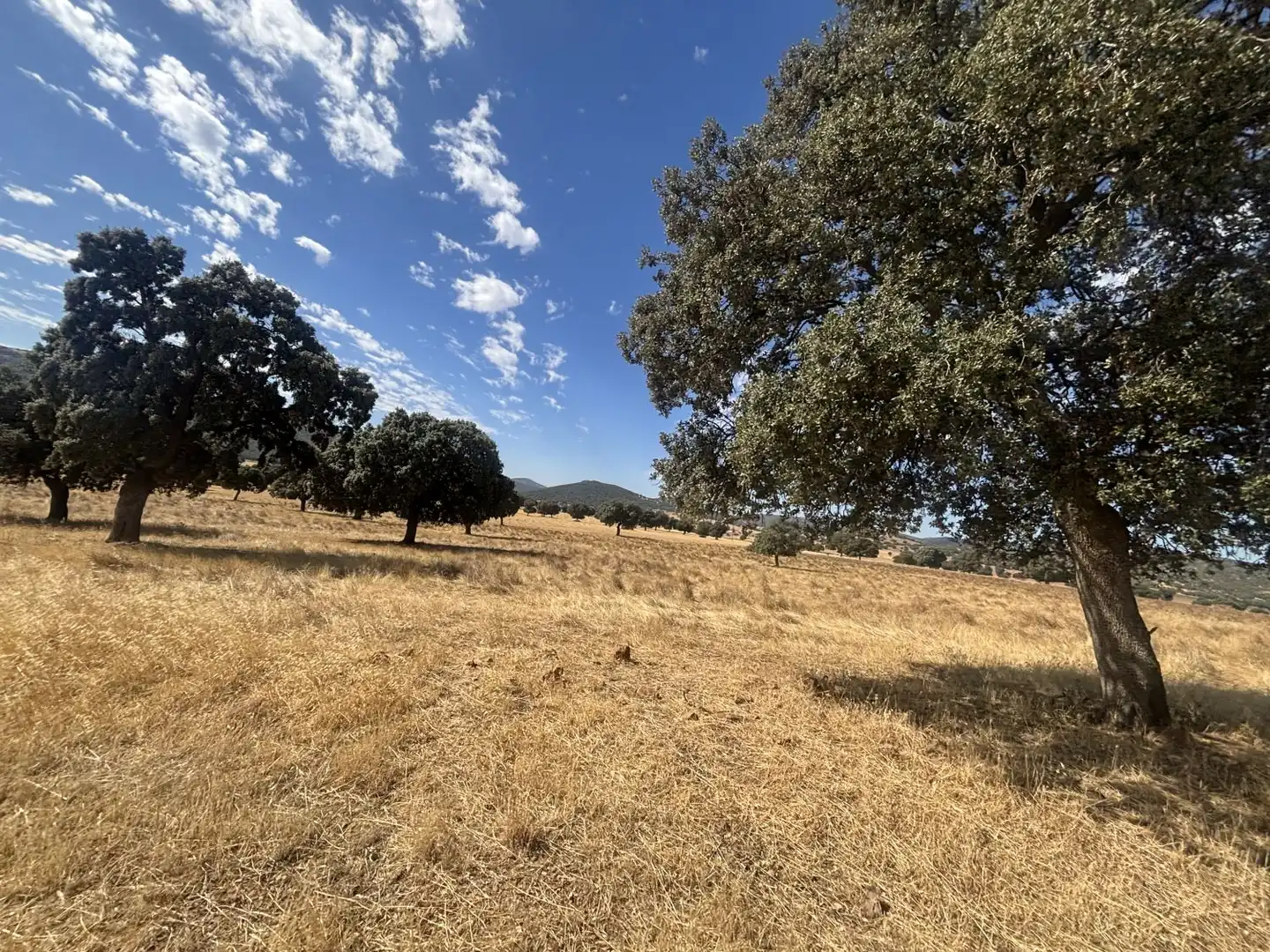 Country homes for sale in Orgaz