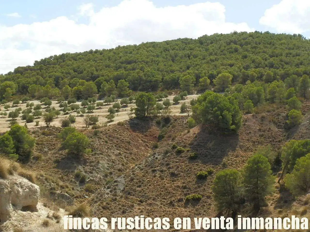 Terreni e lotti in vendita a Cabra del Santo Cristo, imagen 23