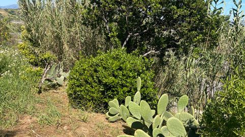 Foto 4 de Terreno en venta en Campanillas, Málaga Capital