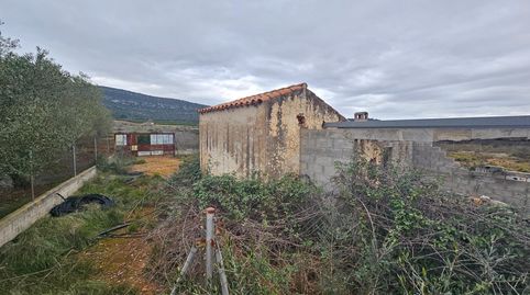 FINCA DE 5 HA EN FREGINALS CON CASA