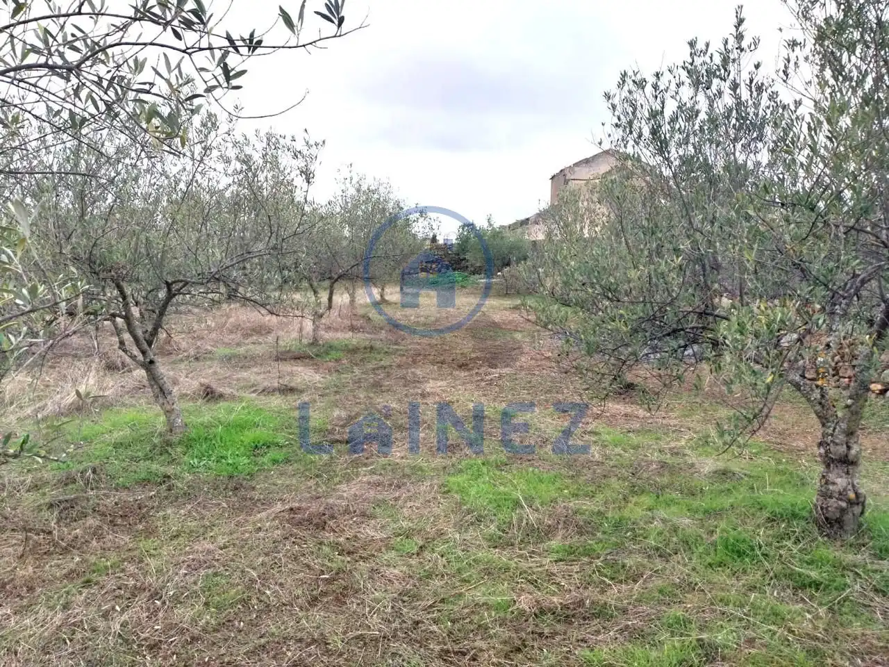 Lands and plots for sale in Fuente Obejuna, imagen 14