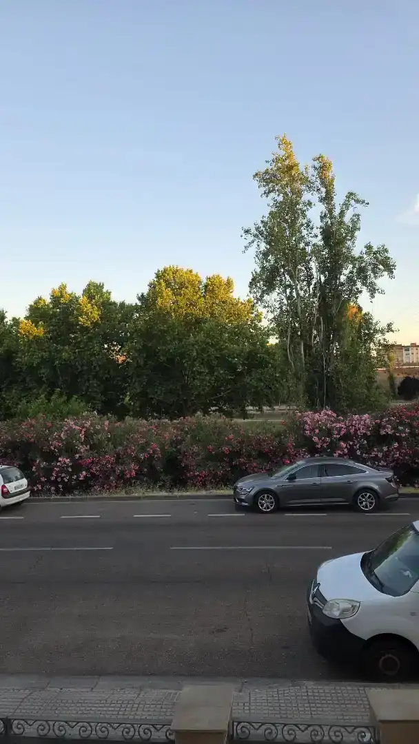 Vista exterior de Casa adosada en venda en Mérida amb Aire condicionat