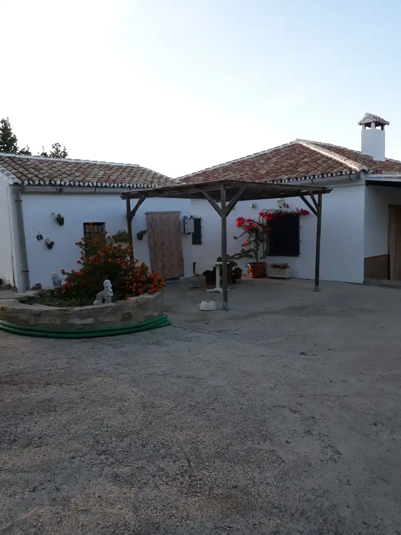 Land for sale in Ronda