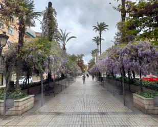Pis de lloguer a Santa Marina