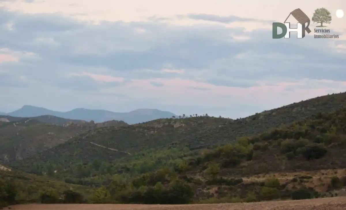 Terreni e lotti in vendita a San Fernando - Carretera de Valencia, imagen 9