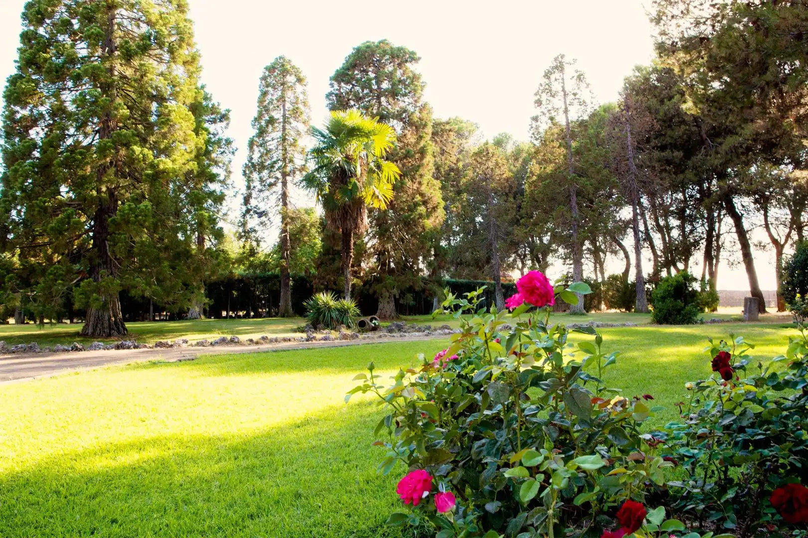 Garden of Houses for sale in Salamanca  with Heating and Terrace