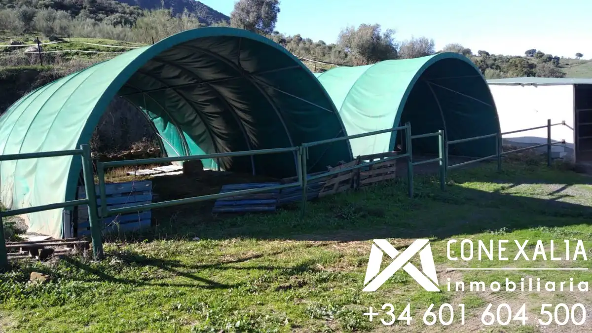Casa rústica en venda a El Gastor, imagen 10