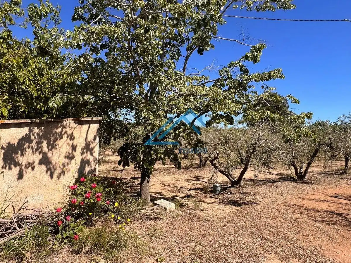 Land for sale in Vinyols i els Arcs