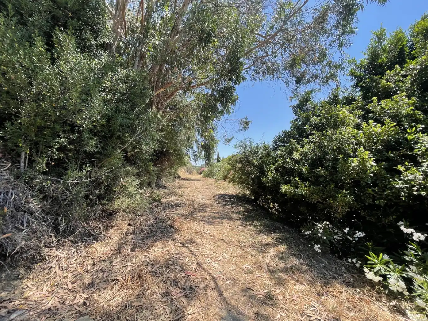 Houses for sale in Algeciras  with Private garden, Terrace and Furnished