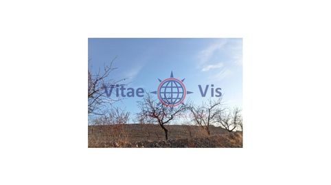 FINCA 70 HECTAREAS CON EXPLOTACION GANADERA Y AGRICOLA CON CORTIJO EN LA PACA, immagine 2
