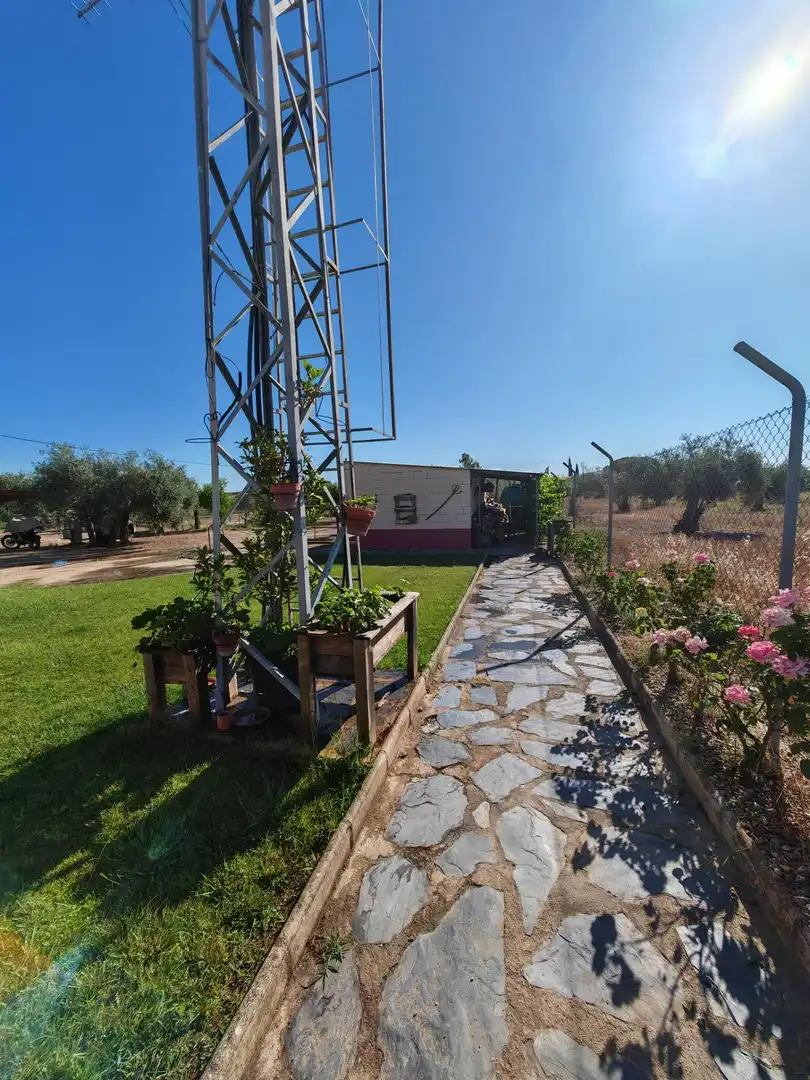 Jardín de Casa o chalet en venta en Medellín con Terraza