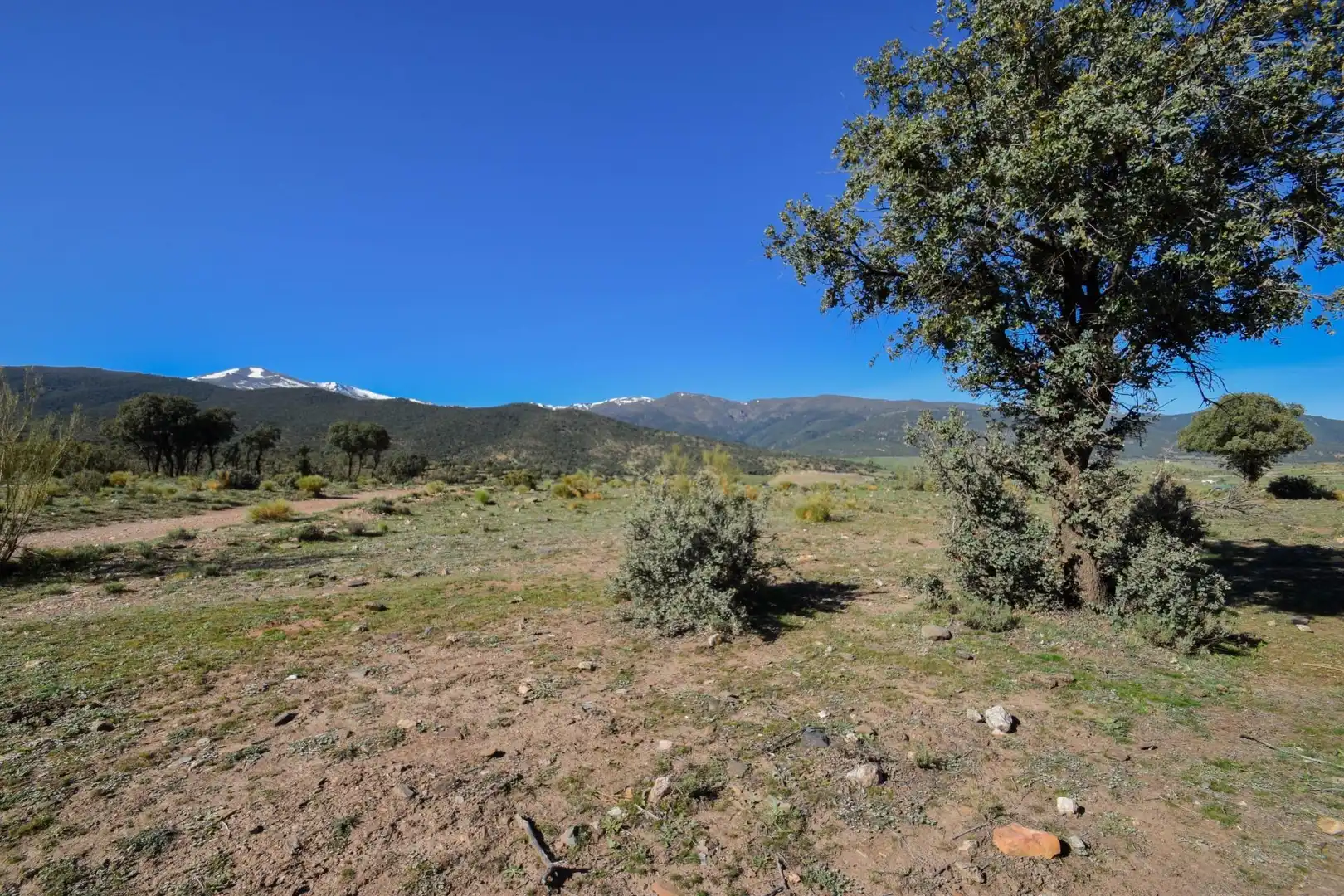 Terreno en venta en Paraje de las Perdices, Lugros