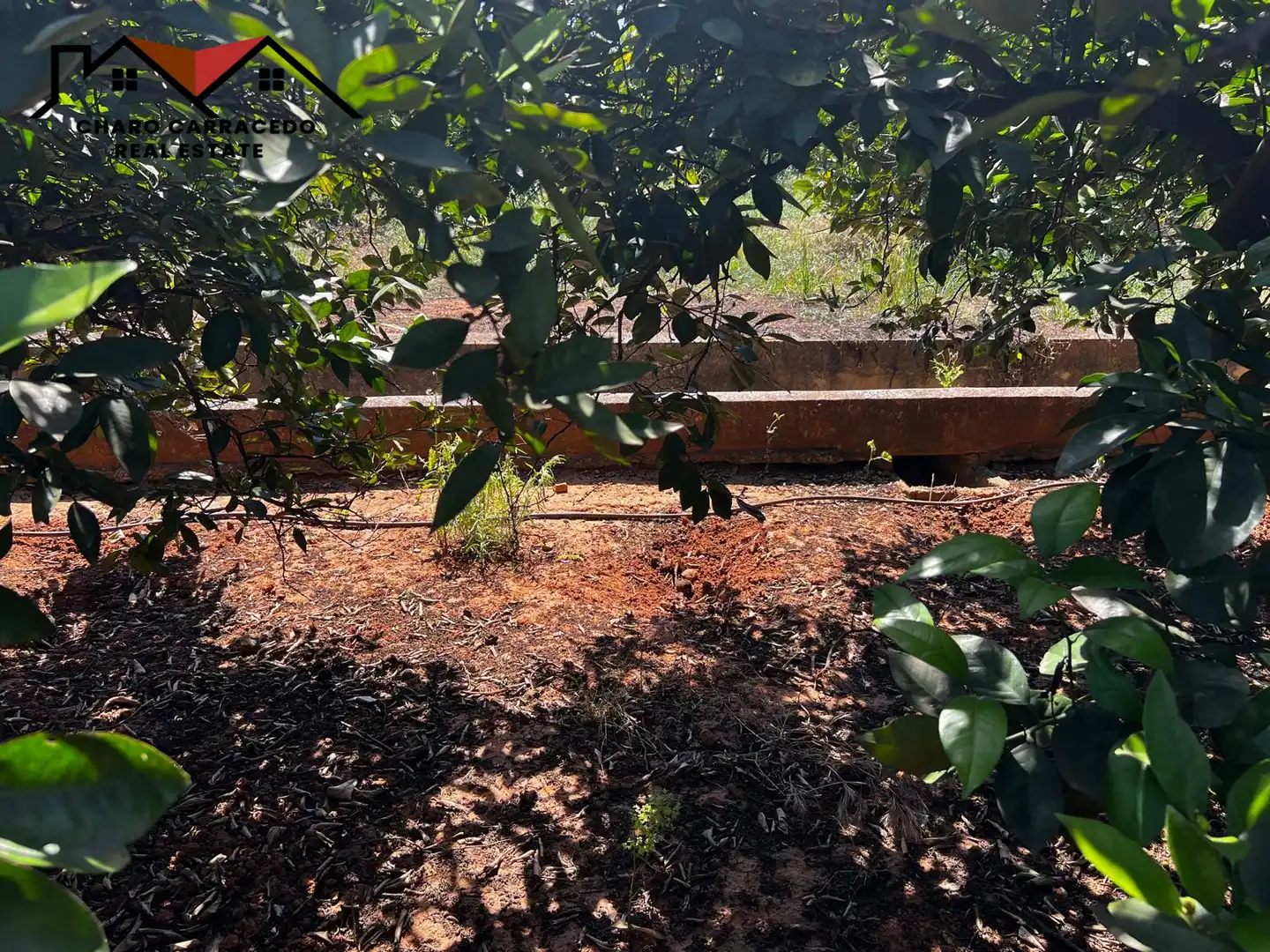 Terreno rústico en venta en Camí de la Murta-Ombria, imagen 7