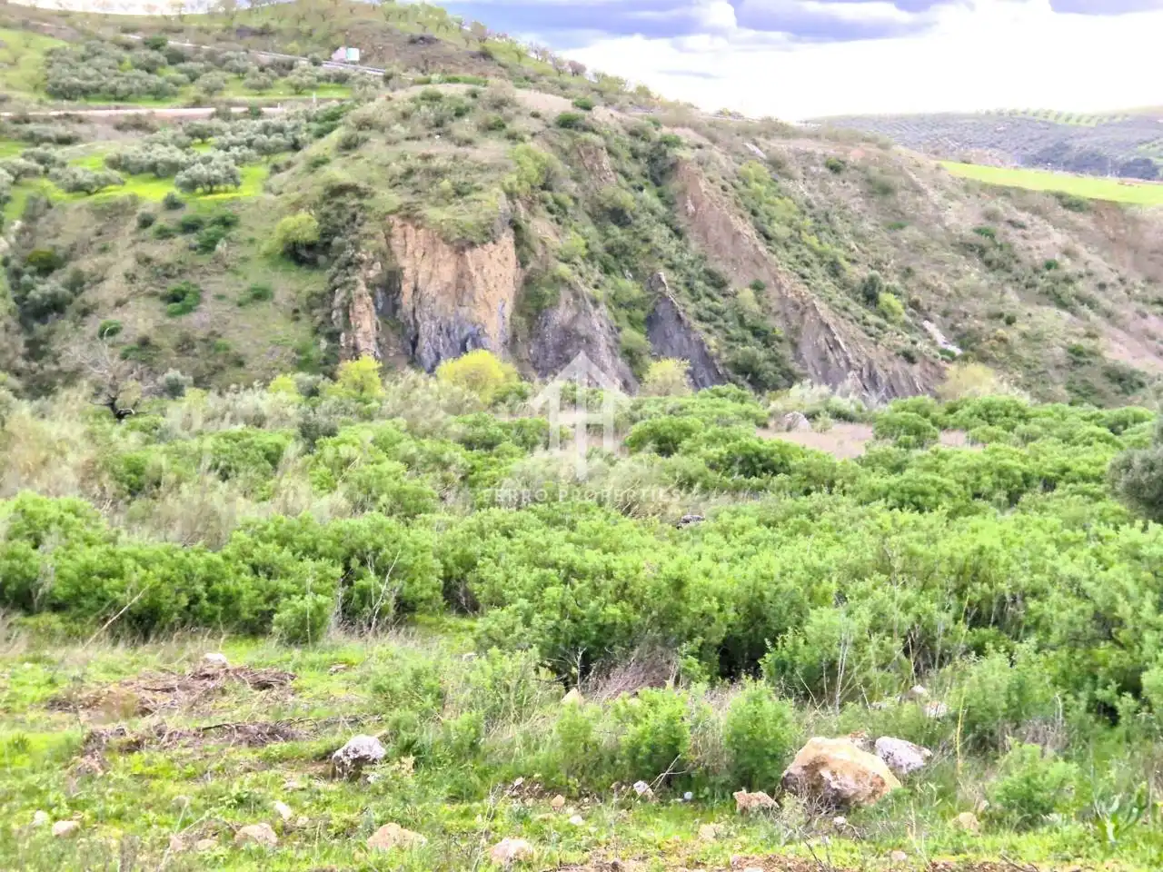 Terreni e lotti in vendita a Camino Cañuelo, imagen 6