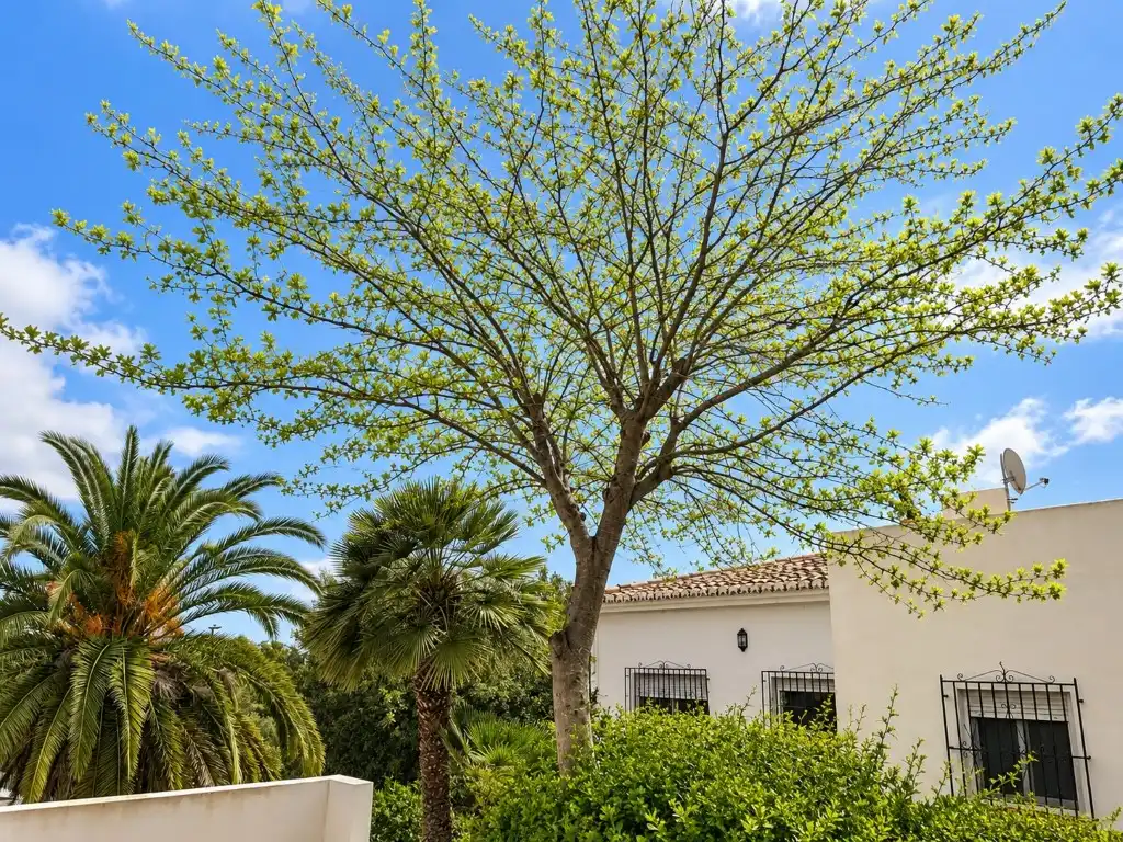 Casa en venda a Cap Martí - El Tossalet - Pinomar, imagen 24