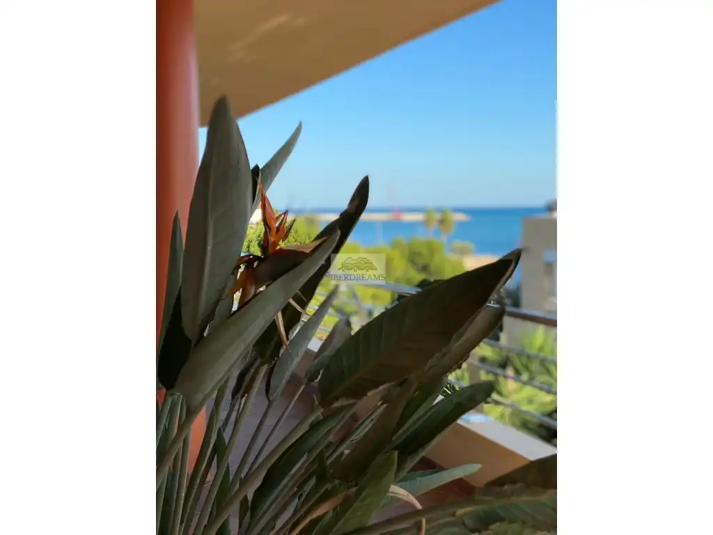 Casa en venta en Avenida Mar Mediterrania 32, imagen 4