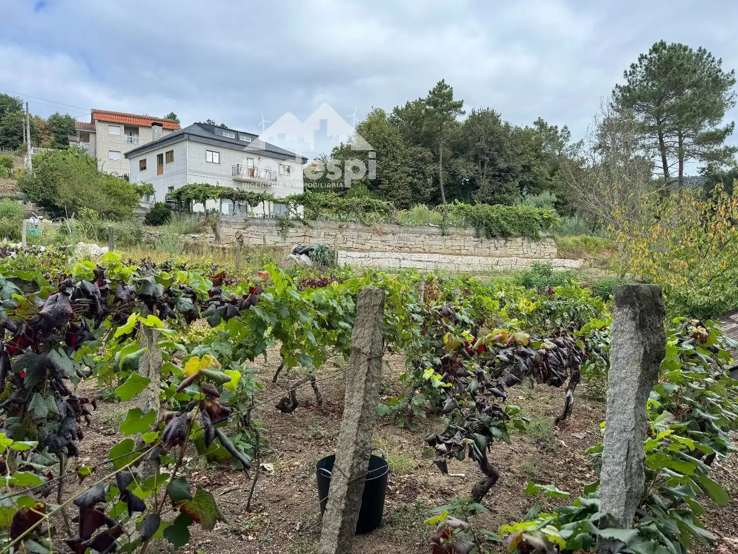 Others for sale in Cortegada, imagen 37