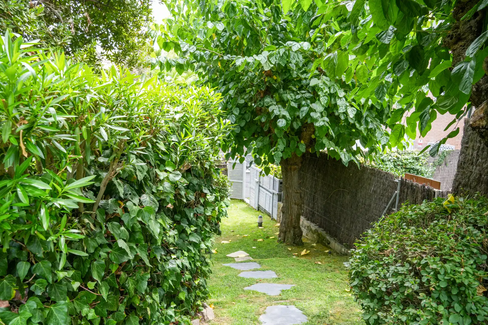 Maison mitoyenne avec terrasse à vendre à Avinguda de Sant Andreu, imagen 19