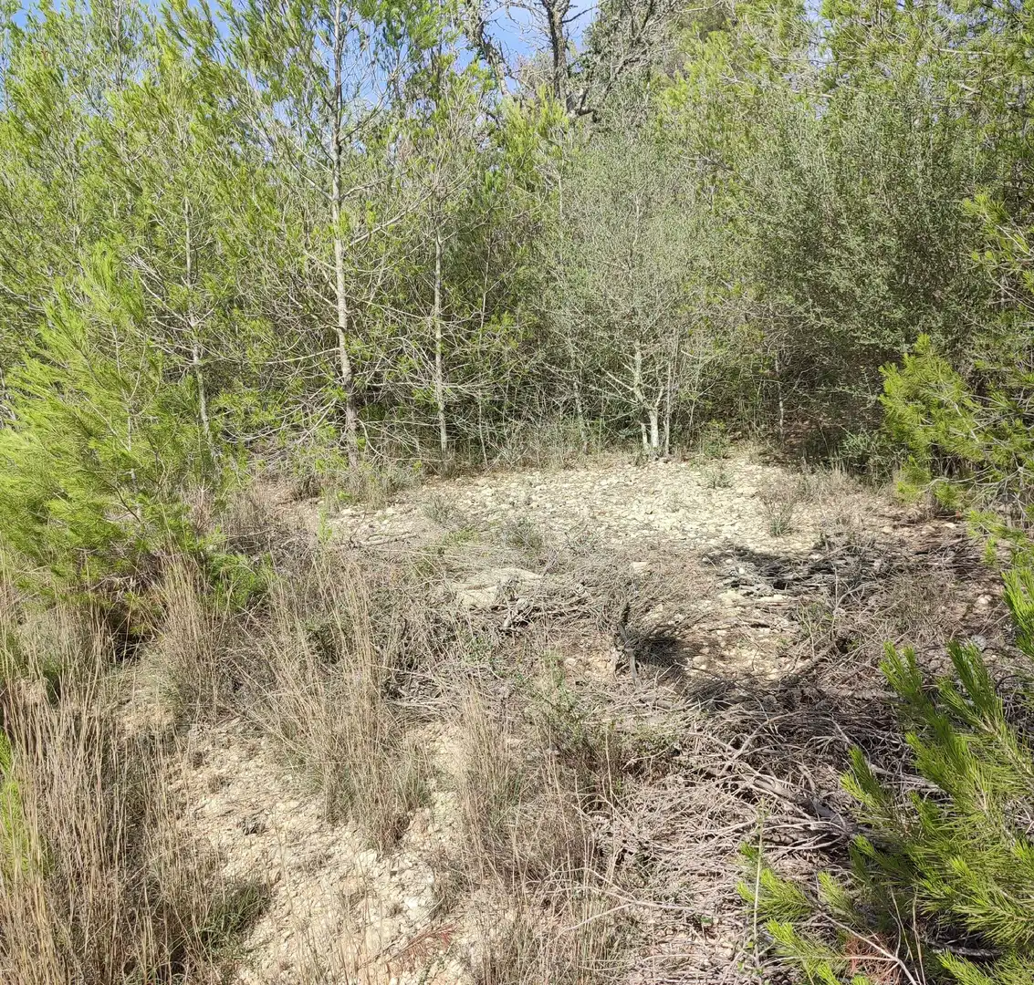 Rural land for sale in Sant Joan, imagen 6