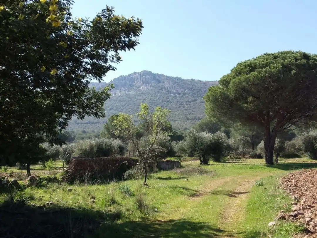 Rustikales Grundstück zum Verkauf in camino Mestanza 1, imagen 8