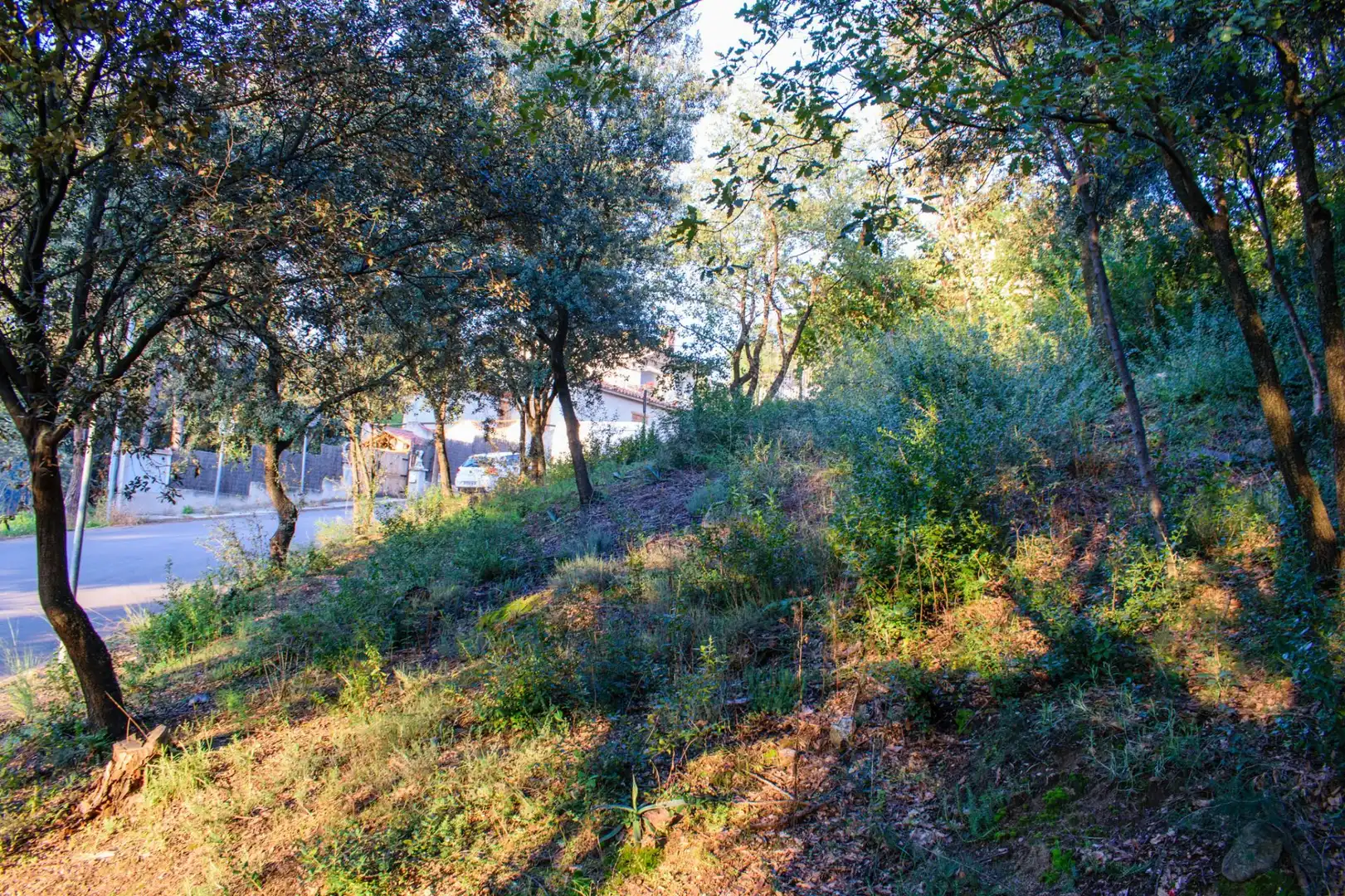 Lands and plots for sale in Bigues i Riells del Fai, imagen 9