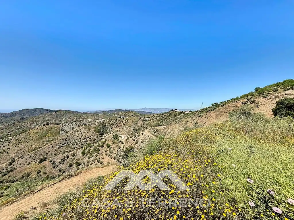 Land for sale in Canillas de Albaida