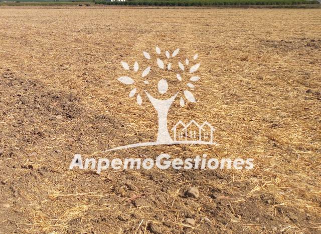 Terreno en Venta en Calle Marcos Orbaneja en Lora del Río