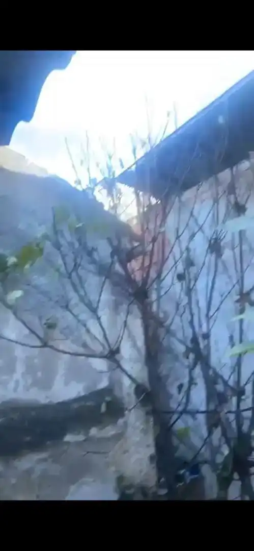 Vista exterior de Casa adosada en venda en Huéscar