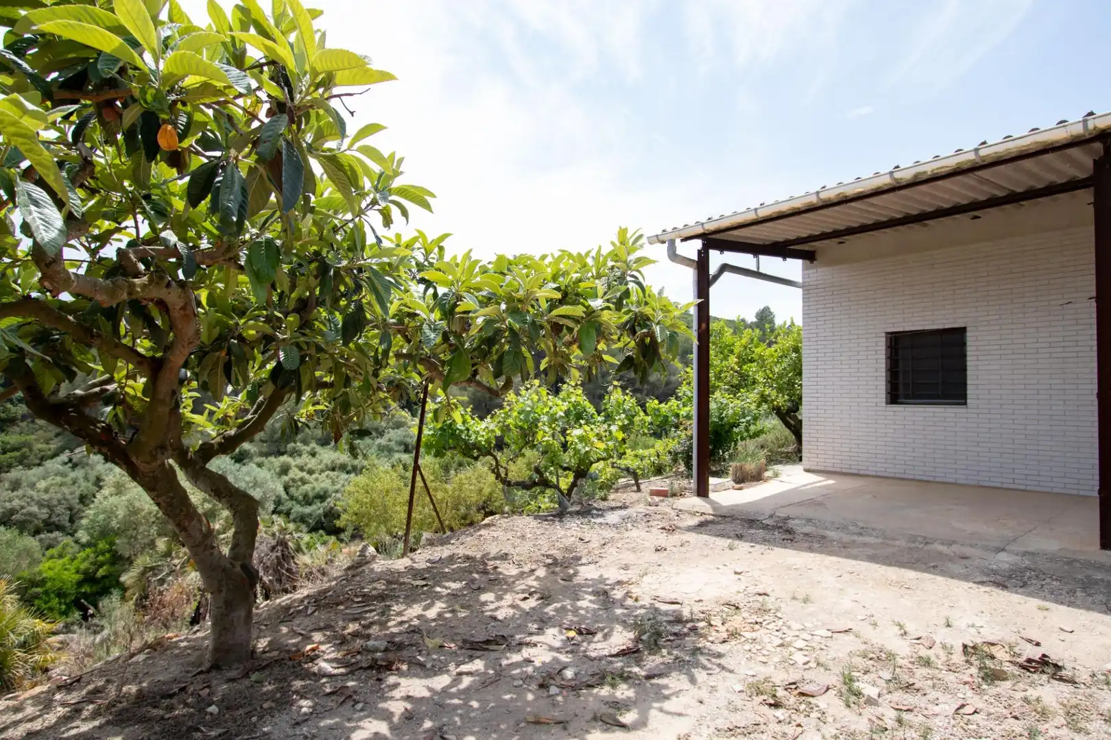 Jardí de Finca rústica en venda en Benlloc amb Jardí privat, Terrassa i Traster