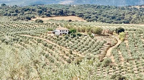 Photo 2 of Country house for sale in  Olivar con Espectacular Cortijo, Villanueva del Rosario, Málaga