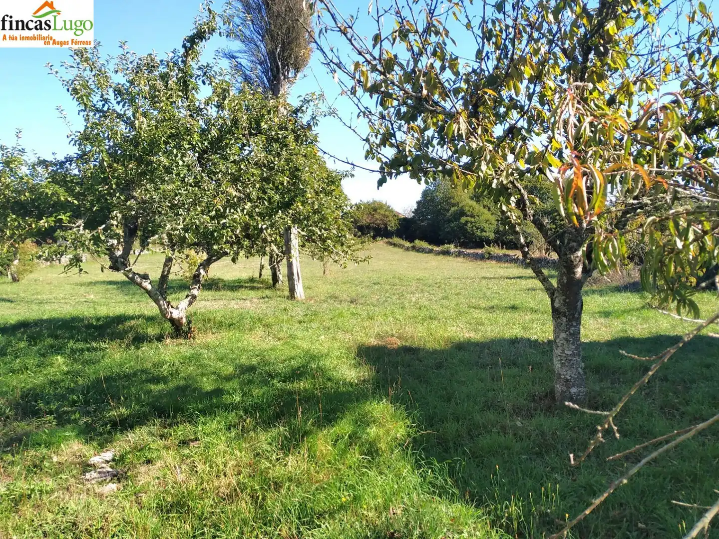 Casa con giardino in vendita a Carballedo, imagen 23