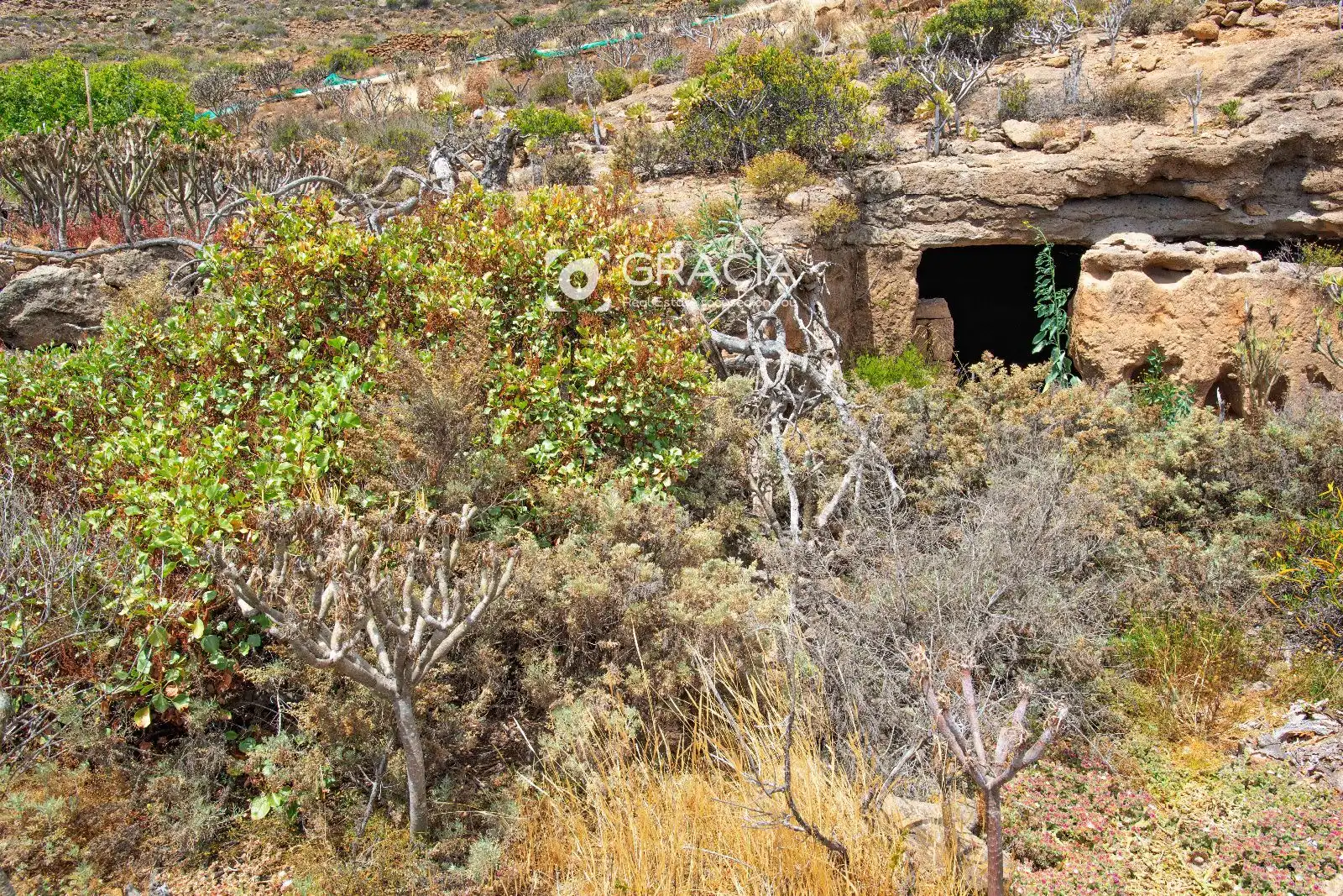 Terreno rustico in vendita a tf629, imagen 10