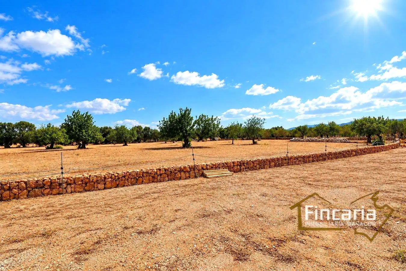 Country homes for sale in Marratxinet