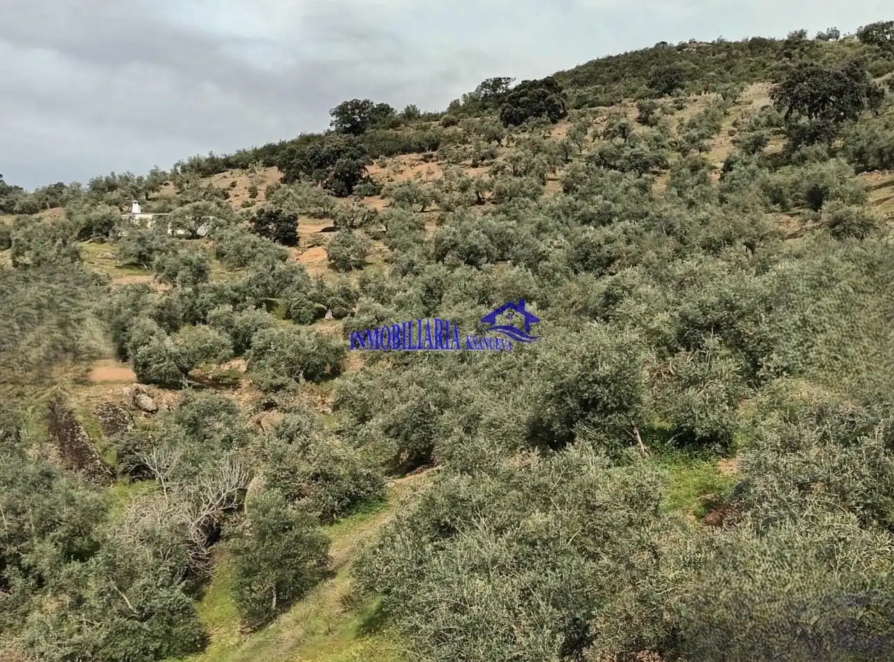 Country homes for sale in Adamuz, Córdoba