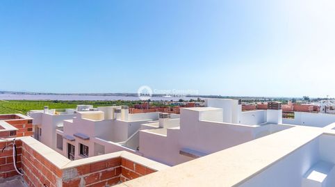 en Torrevieja, imagen 3