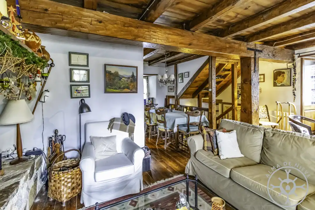 Living room of Detached homes for sale in Naut Aran  with Terrace and Furnished