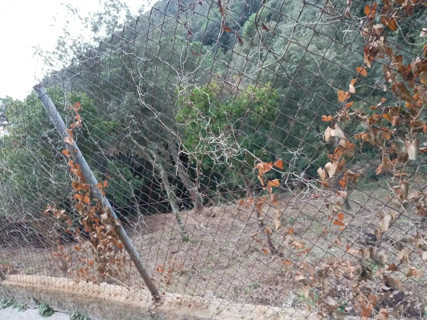 Wohnbaugrundstück zum Verkauf in Morera 2, imagen 7