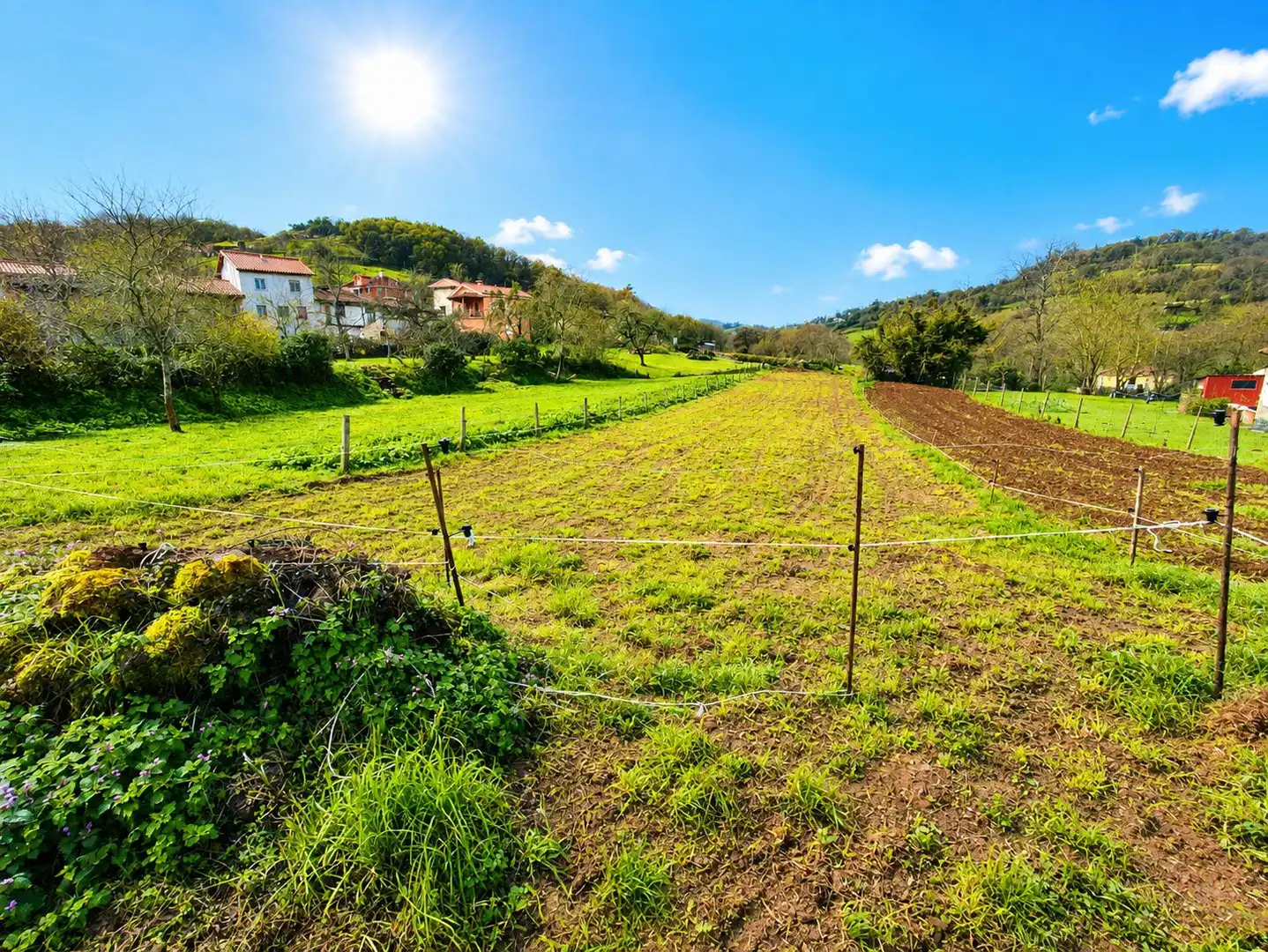 Residential land for sale in Grado, imagen 2
