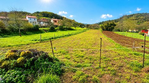 Parc.Urbana en venta en Grado., immagine 2