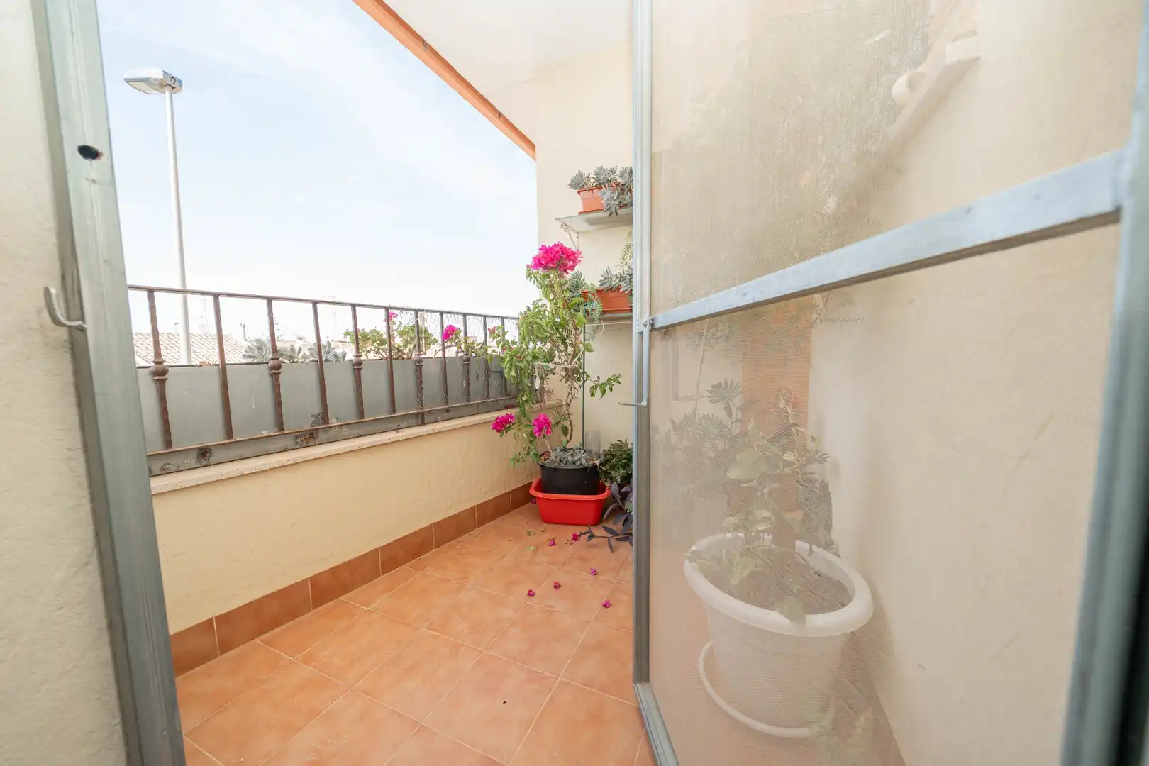 Maison mitoyenne à vendre à El Mirador Pozo Aledo, imagen 28