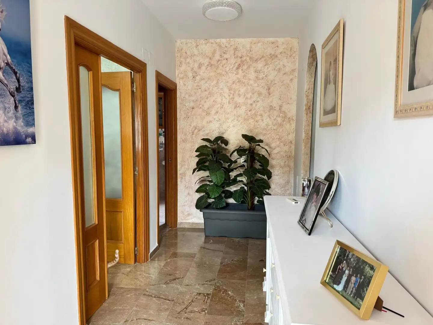 Villa con terrazza in vendita a Coloma, imagen 35
