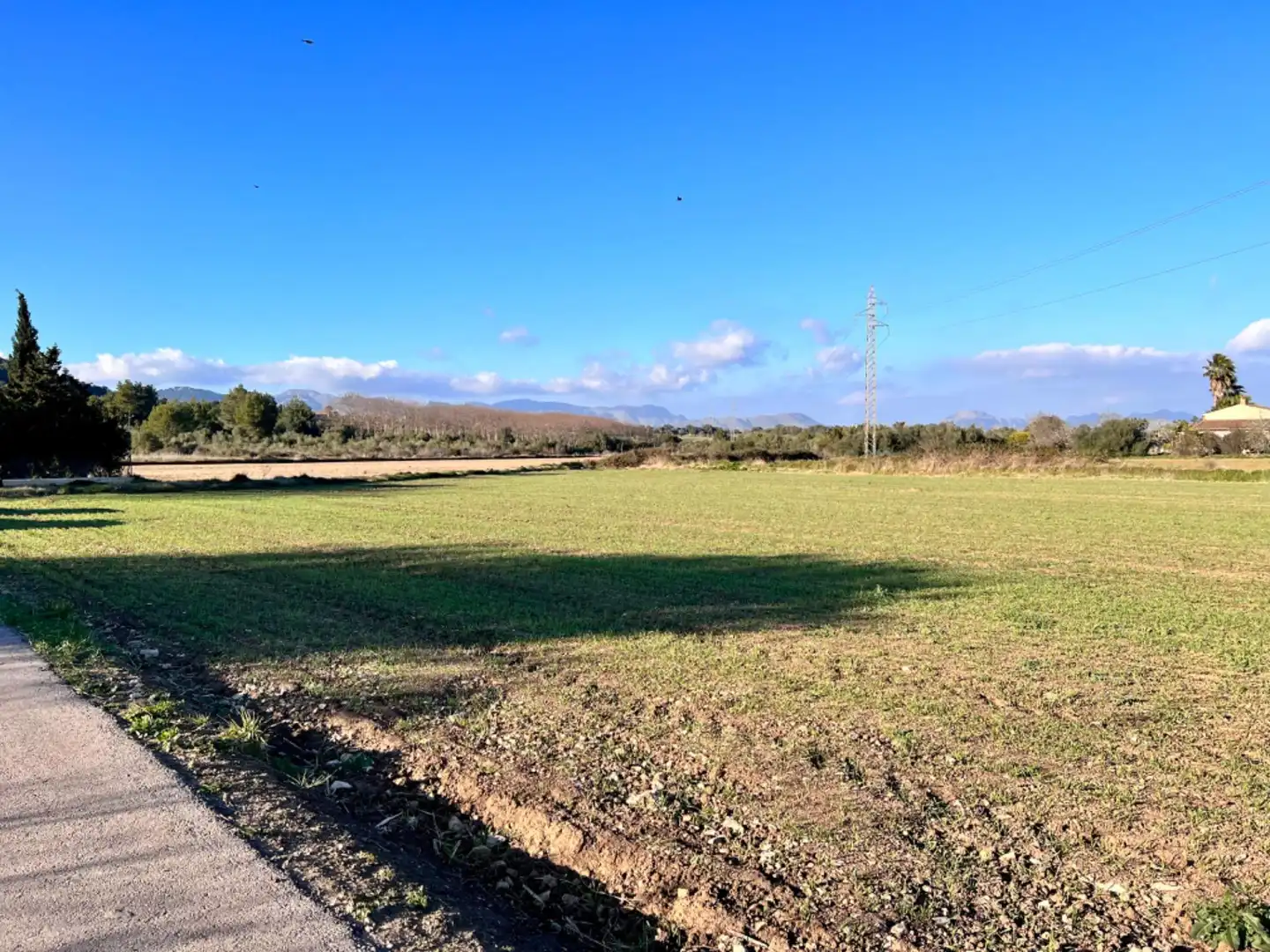 Maison rustique à vendre à Ciutat d'Alcúdia, imagen 7