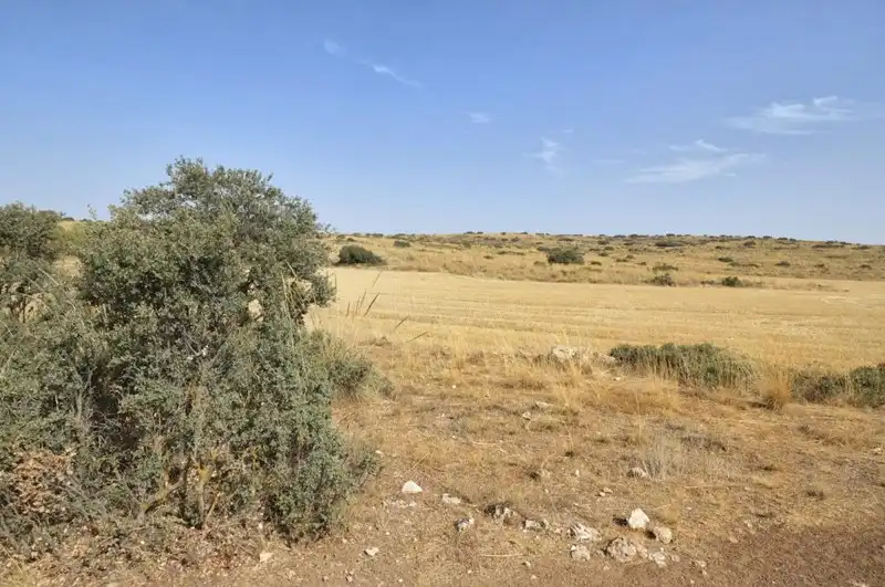 Terreni e lotti in vendita a Padul, imagen 33