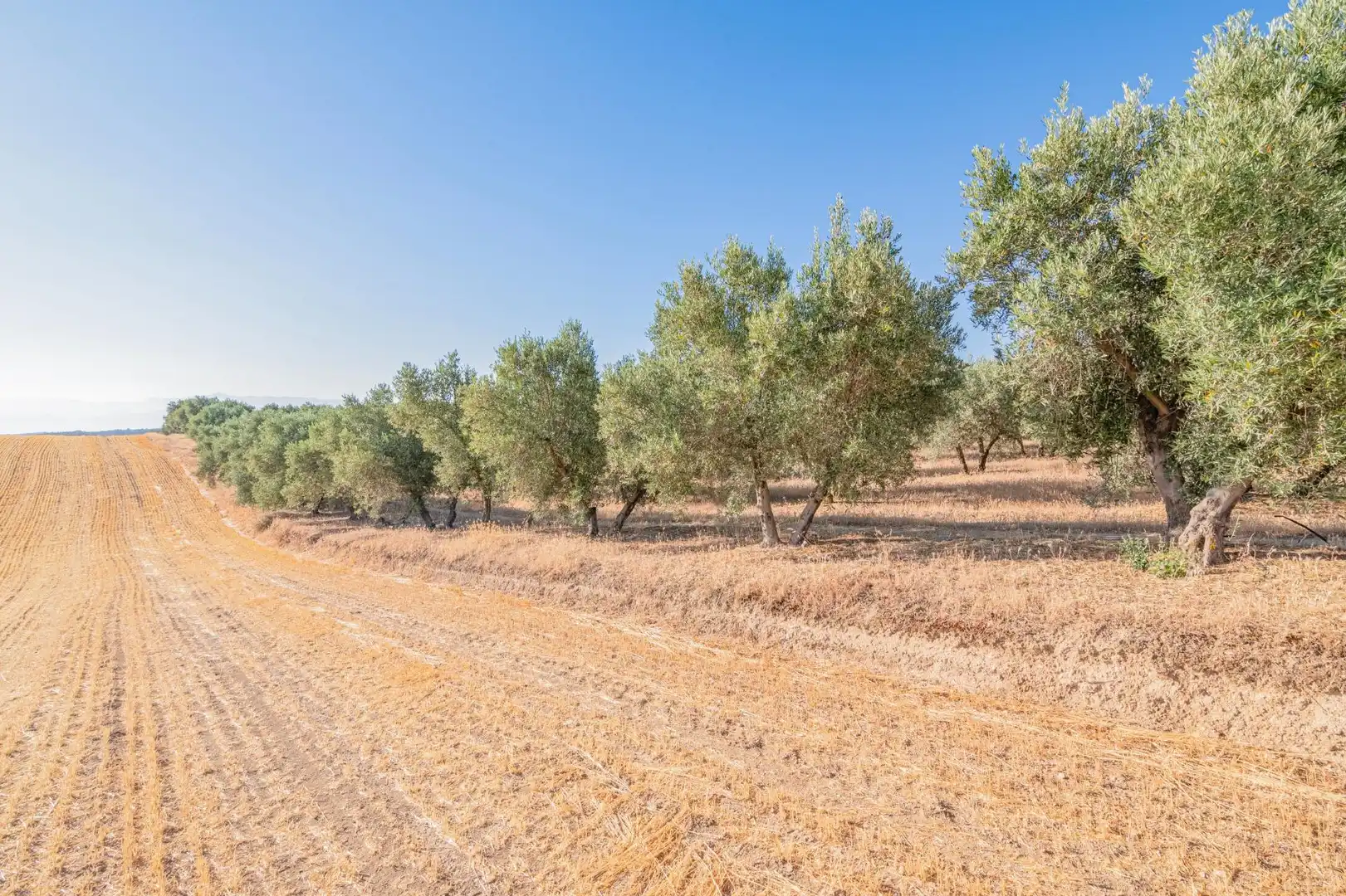 Terreni e lotti in vendita a Camino DISEMINADOS, imagen 17
