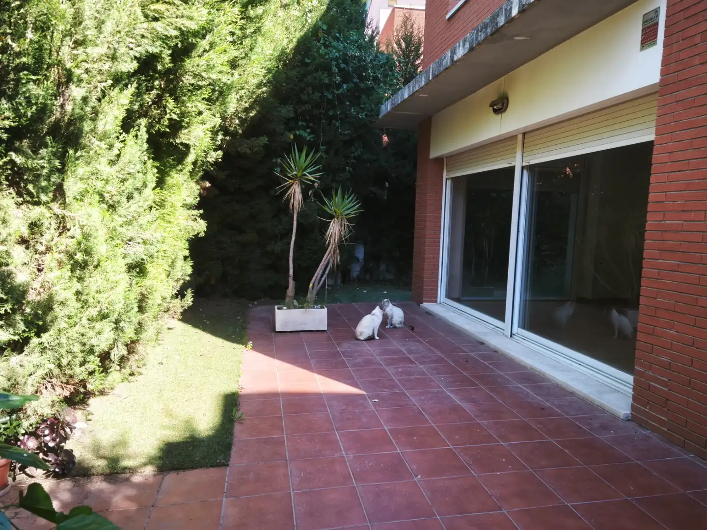 Maison avec piscine à vendre à Vallmoll, imagen 21