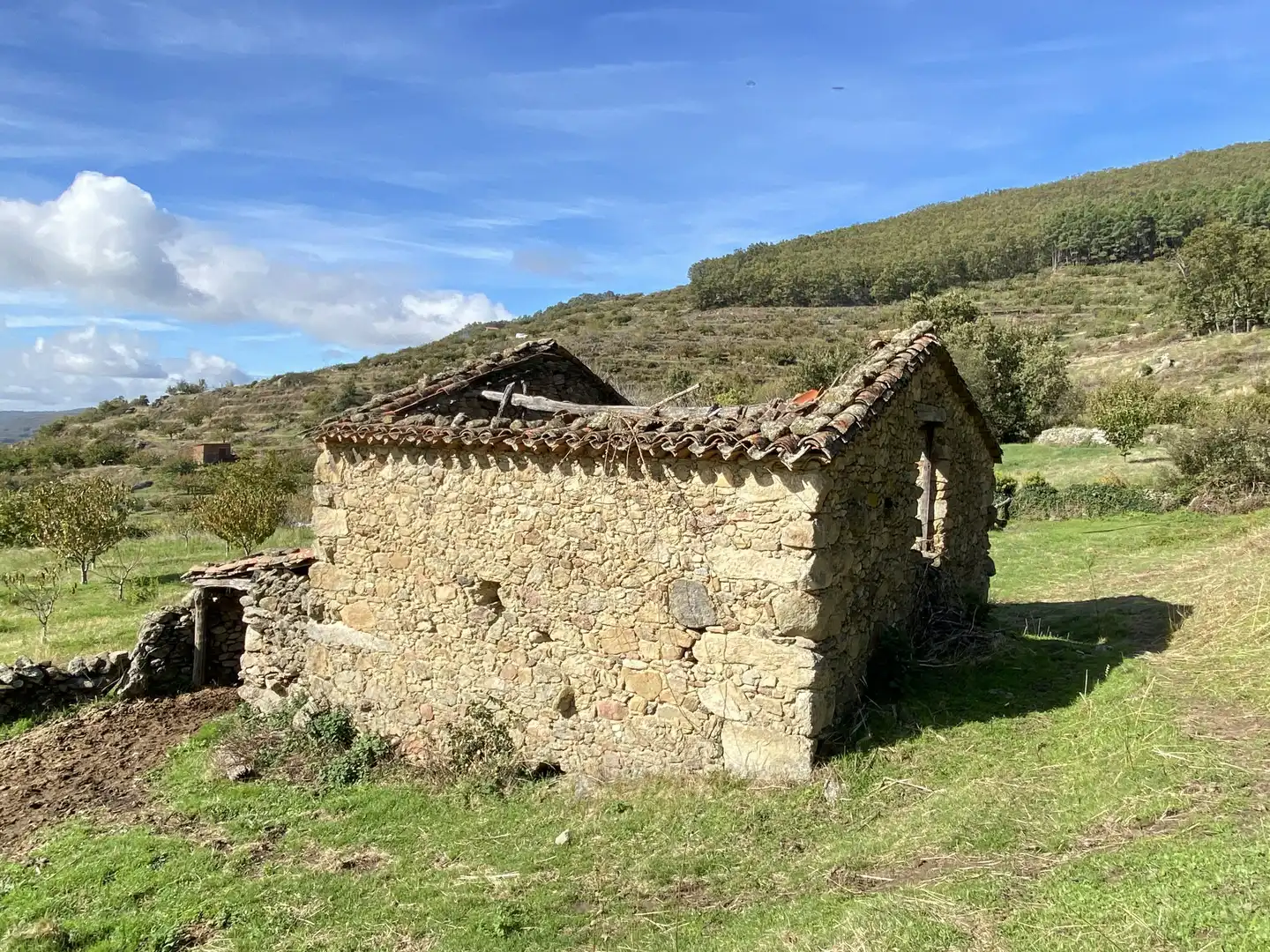 Terreni e lotti in vendita a Barrado, imagen 16