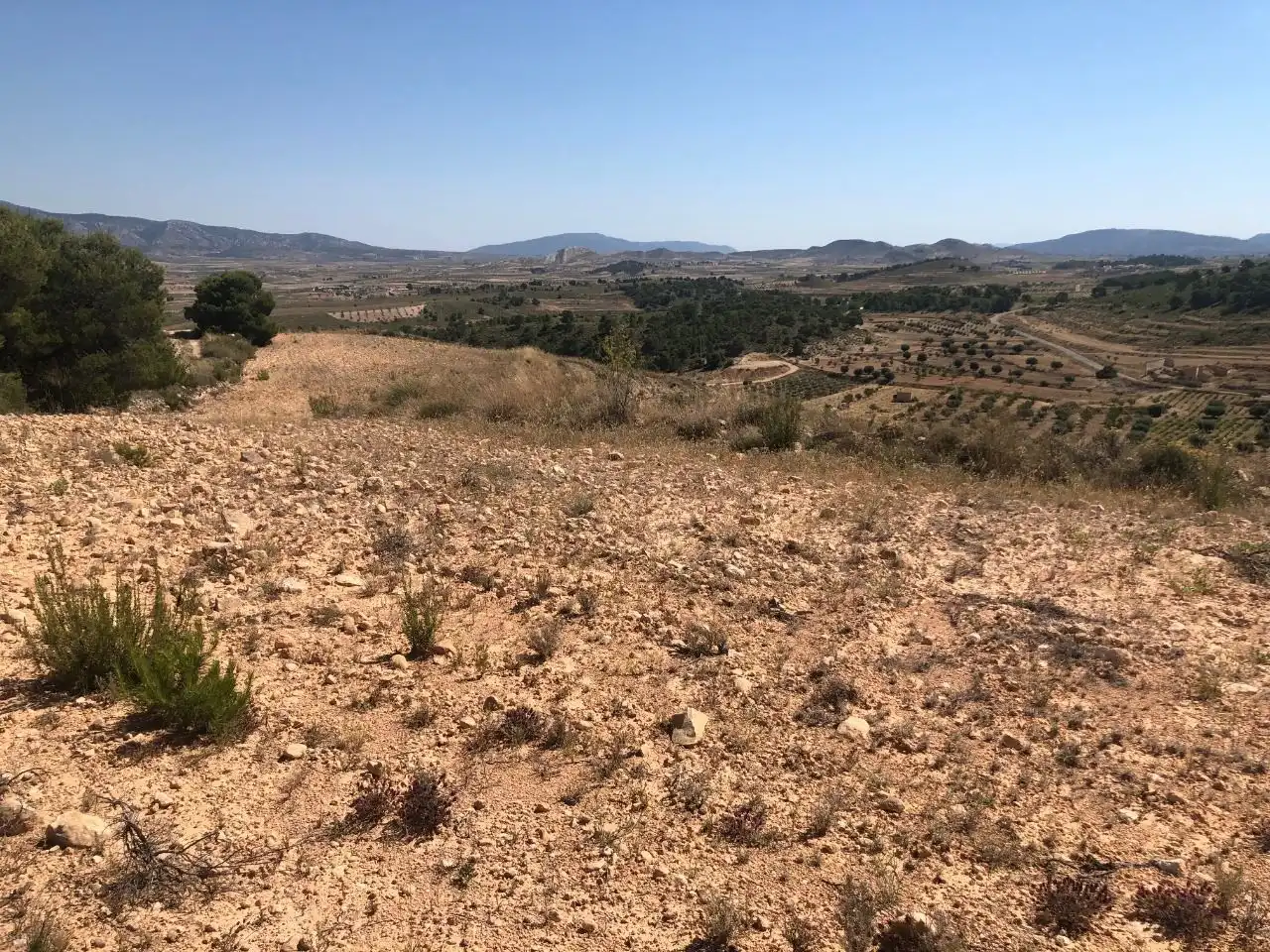Rustikales Grundstück zum Verkauf in Jumilla, imagen 2