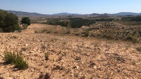 Parcela Urbanizable en La Zarza Jumilla 37.566 m, immagine 2