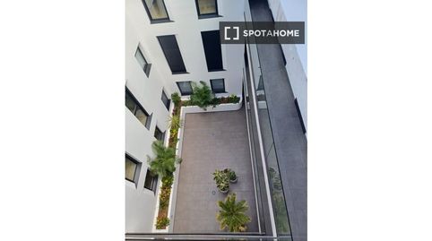 Foto 2 de Habitación en Arenales - Lugo - Avda. Marítima, Las Palmas de Gran Canaria